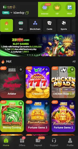 ZS9 Game APK